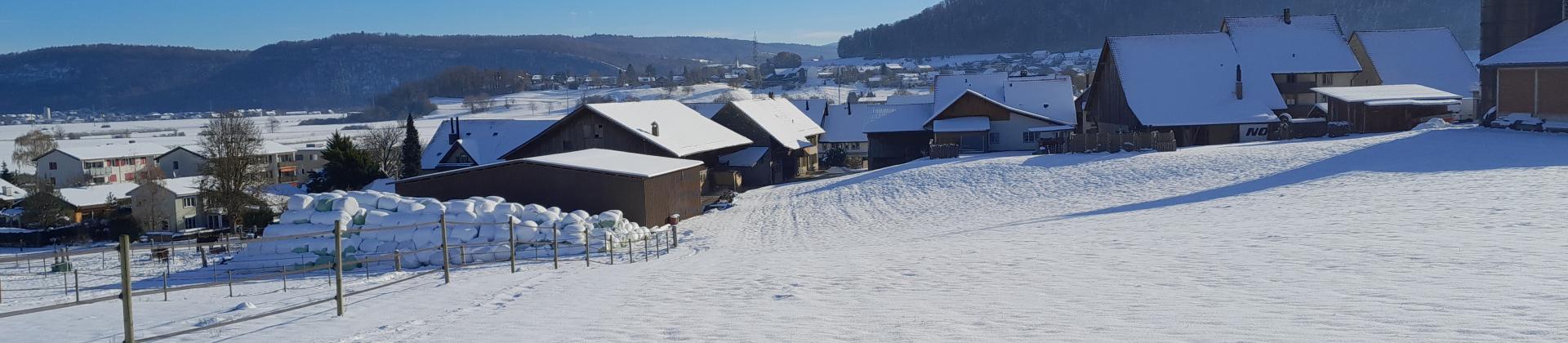 Schneefeld mit Häusern im Hintergrund